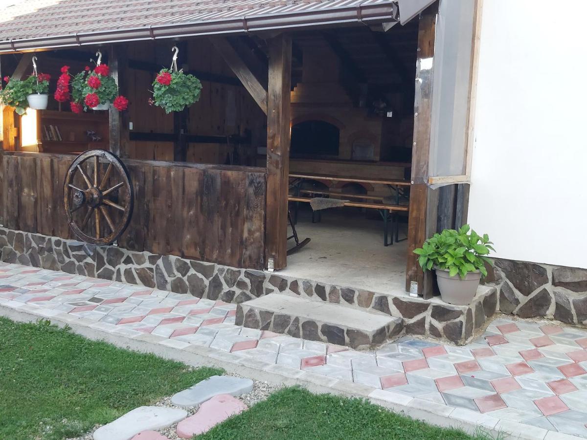 Pensiunea Maya Sîmbăta de Sus Εξωτερικό φωτογραφία