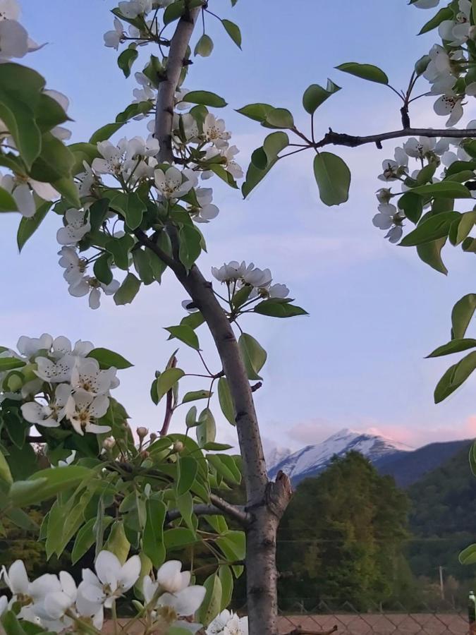 Pensiunea Maya Sîmbăta de Sus Εξωτερικό φωτογραφία