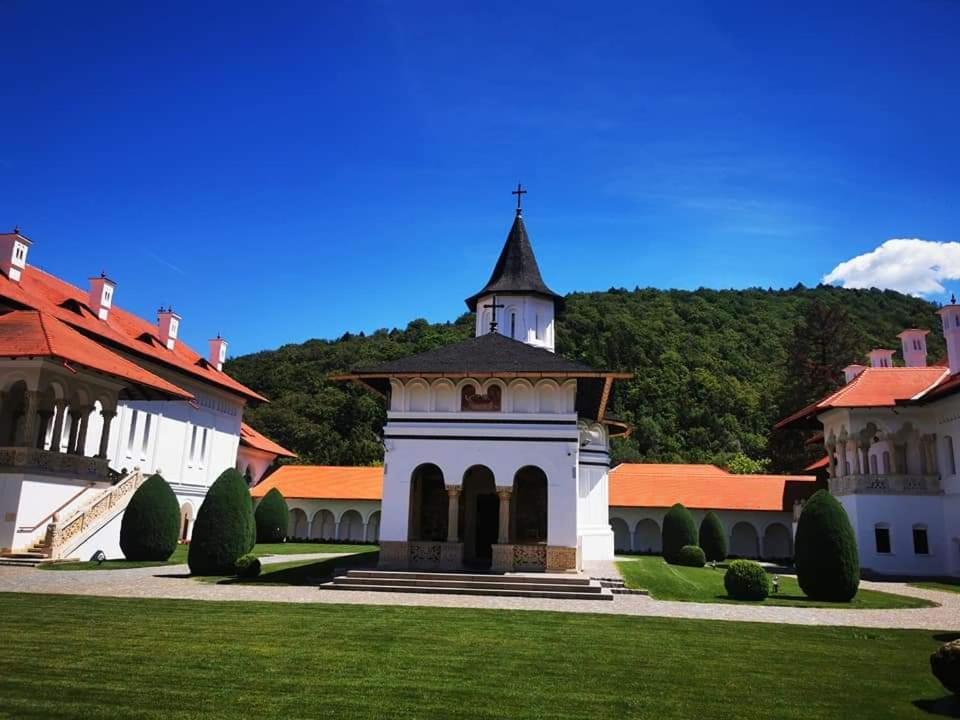 Pensiunea Maya Sîmbăta de Sus Εξωτερικό φωτογραφία