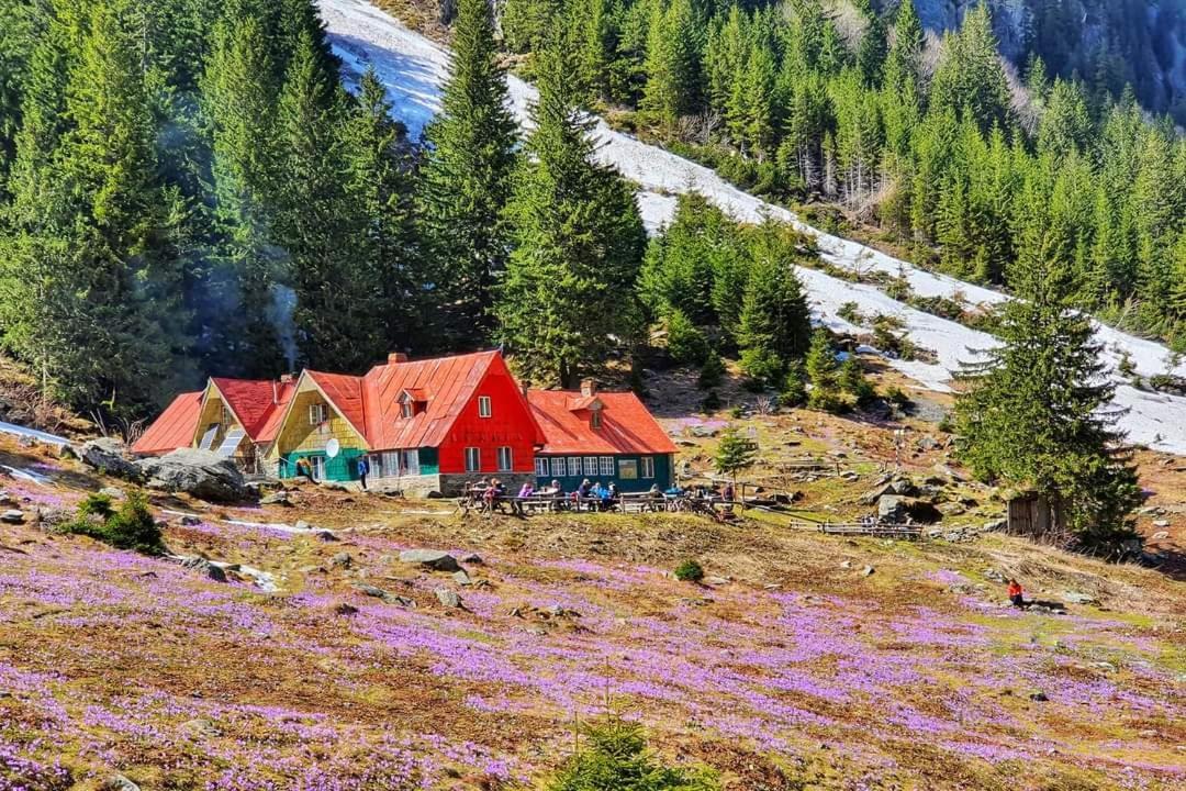 Pensiunea Maya Sîmbăta de Sus Εξωτερικό φωτογραφία